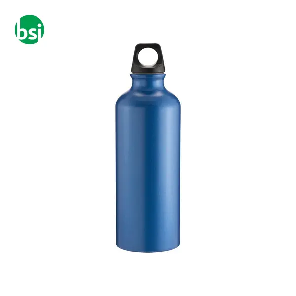 Water bottle 500 ml | matt metalized | aluminium -  4