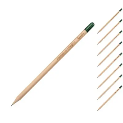 Sprout pencil made of sustainable wood with graphite