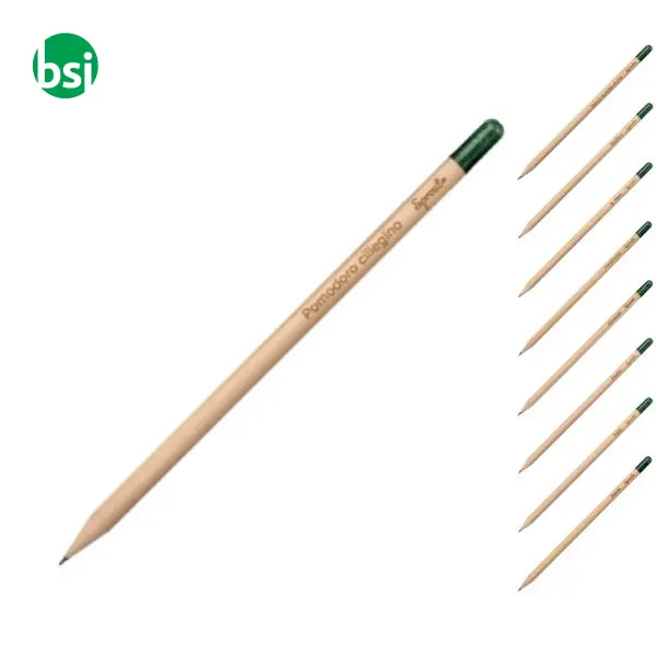 Sprout pencil made of sustainable wood with graphite -  1