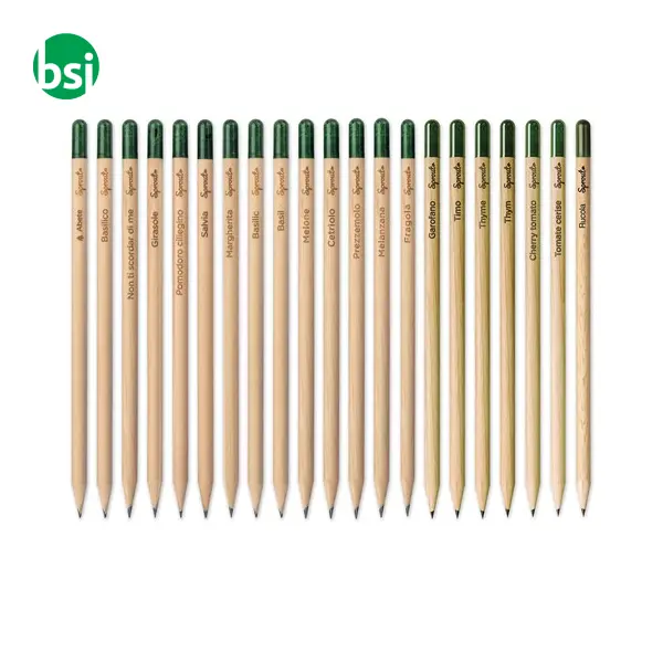 Sprout pencil made of sustainable wood with graphite -  2