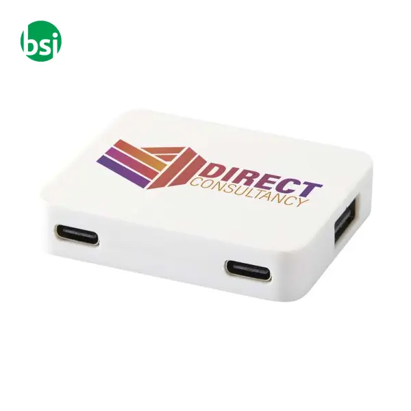 Gaia 4-port USB hub with dual input -  2
